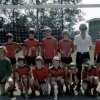 rava 1977 tm 1988
